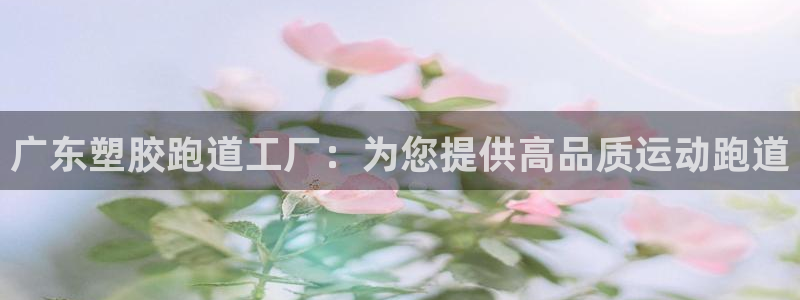 谈球吧打不开了：广东塑胶跑道工厂：为您提供高品质运动跑道