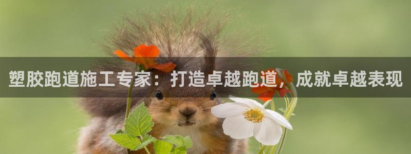 谈球吧app官方下载：塑胶跑道施工专家：打造卓越跑道