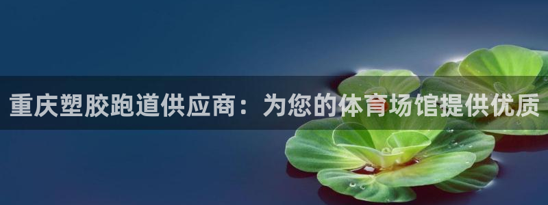 谈球吧APP：重庆塑胶跑道供应商：为您的体育场馆提供优质