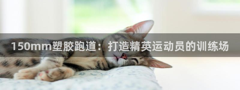 谈球吧app在哪里下载：150mm塑胶跑道：打造精英运动员的训练场