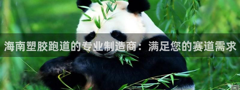 谈球吧官网在线入口免费观看高清视频：海南塑胶跑道的专业制造商：满足您的赛道需求