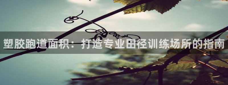谈球吧的聊天软件叫什么：塑胶跑道面积：打造专业田径训练场所的指南