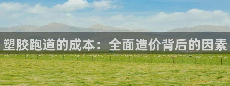 谈球吧体育app下载官网手机版苹果：塑胶跑道的成本：