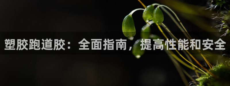 谈球吧官网下载：塑胶跑道胶：全面指南，提高性能和安全