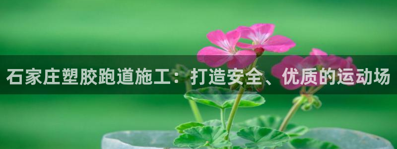 谈球吧黑款：石家庄塑胶跑道施工：打造安全、优质的运动