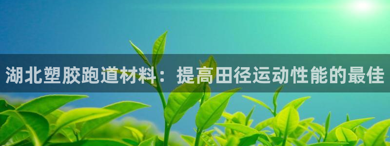 谈球吧在线登录：湖北塑胶跑道材料：提高田径运动性能的最佳