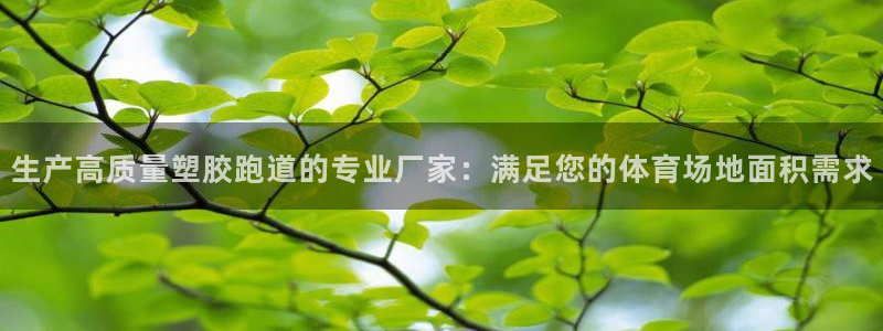 谈球吧被黑不给提现：生产高质量塑胶跑道的专业厂家：满