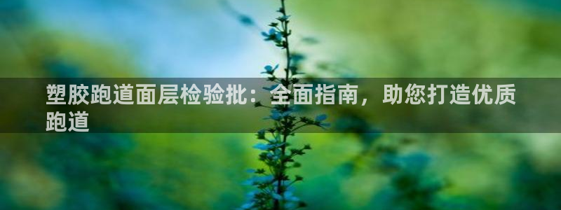谈球吧中国官方网站：塑胶跑道面层检验批：全面指南，助您打造优质
跑道