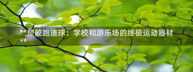 谈球吧nba：**塑胶跑道球：学校和游乐场的终极运动器材
**