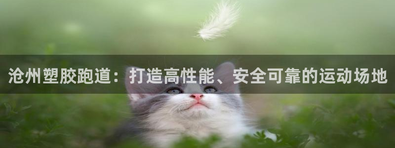 谈球吧官方网站：沧州塑胶跑道：打造高性能、安全可靠的