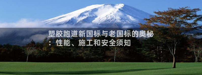 谈球吧怎么样?：塑胶跑道新国标与老国标的奥秘
：性能、施工和安全须知