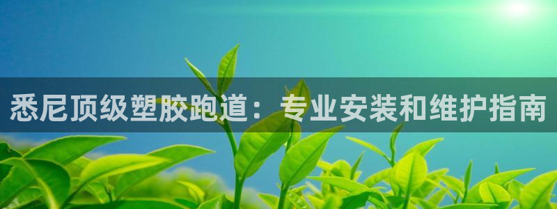 谈球吧官网app下载：悉尼顶级塑胶跑道：专业安装和维