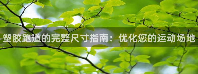 谈球吧app下载ios：塑胶跑道的完整尺寸指南：优化