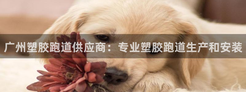 谈球吧体育：广州塑胶跑道供应商：专业塑胶跑道生产和安