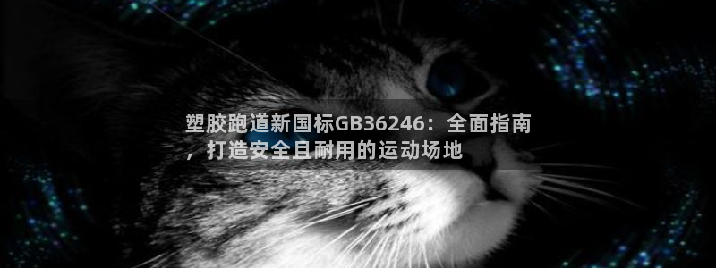谈球吧官网首页：塑胶跑道新国标GB36246：全面指