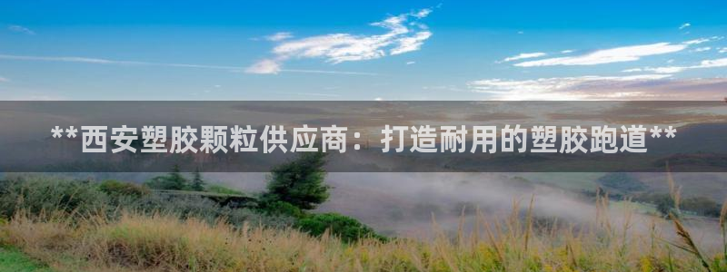 谈球吧app官方下载：**西安塑胶颗粒供应商：打造耐