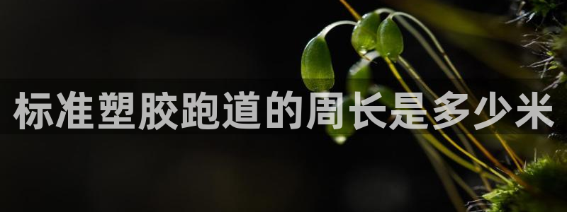 谈球吧app官方下载：标准塑胶跑道的周长是多少米