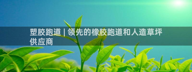 谈球吧的聊天软件叫什么来着：塑胶跑道 | 领先的橡胶跑道和人造草坪
供应商