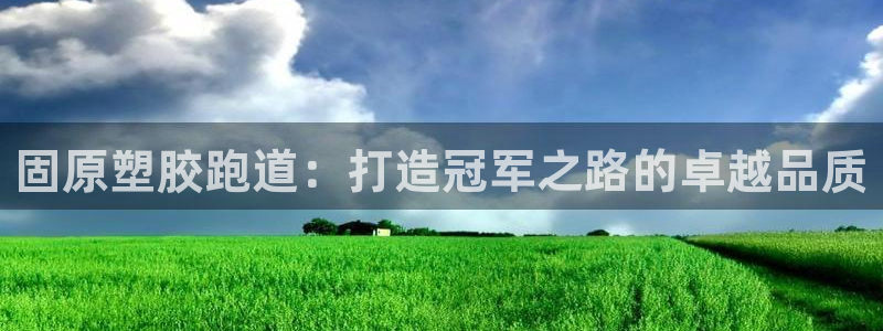 谈球吧体育在线：固原塑胶跑道：打造冠军之路的卓越品质