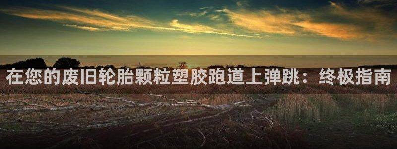谈球吧官网在线入口免费观看高清视频：在您的废旧轮胎颗