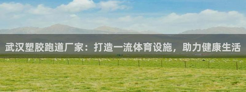谈球吧体育app下载足球直播：武汉塑胶跑道厂家：打造