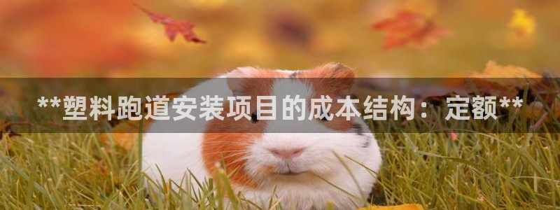 谈球吧靠谱吗：**塑料跑道安装项目的成本结构：定额*