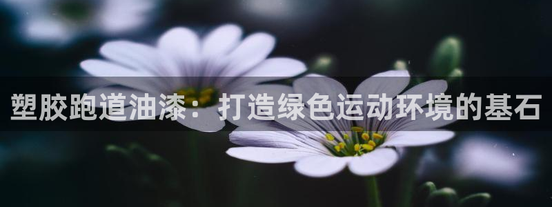 谈球吧娱乐app下载官网苹果