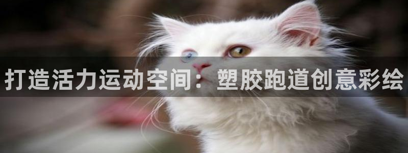 谈球吧的聊天软件下载：打造活力运动空间：塑胶跑道创意