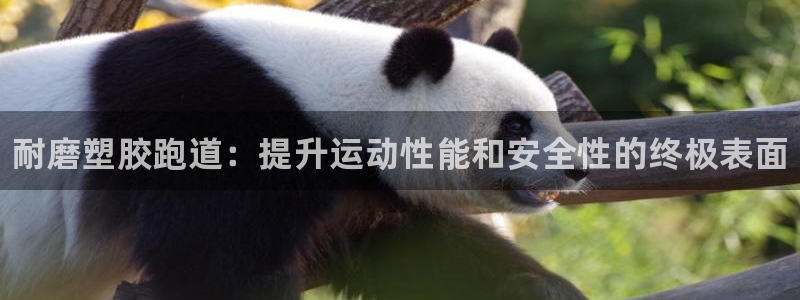 谈球吧APP入口：耐磨塑胶跑道：提升运动性能和安全性的终极表面