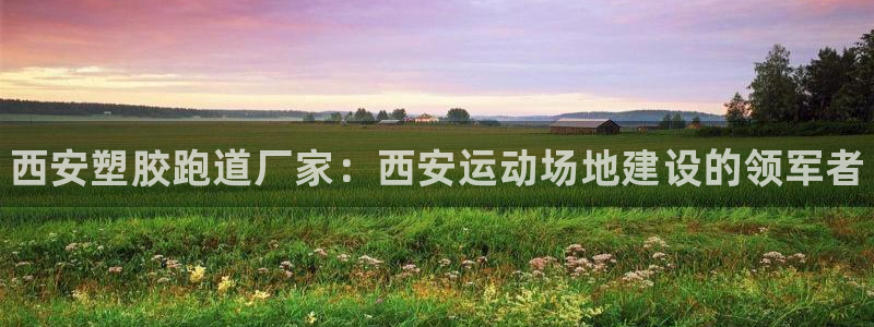 谈球吧平台正规吗可信吗知乎：西安塑胶跑道厂家：西安运动场地建设的领军者