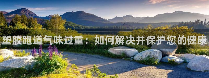 谈球吧网页登陆：塑胶跑道气味过重：如何解决并保护您的健康